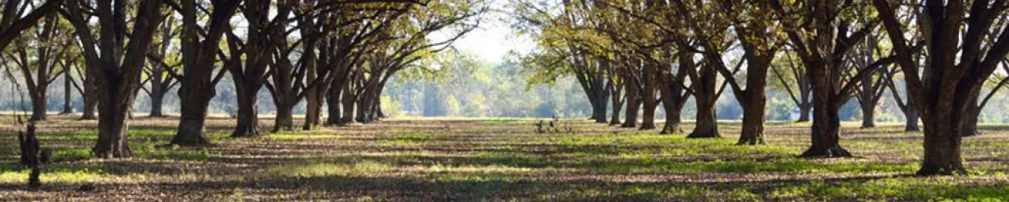 Cover photo for Vickie Jones Austin's Obituary