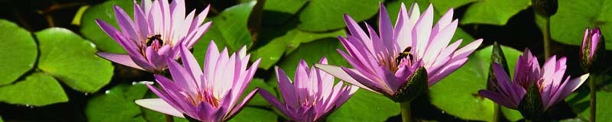 Cover photo for Katherine Bryant's Obituary