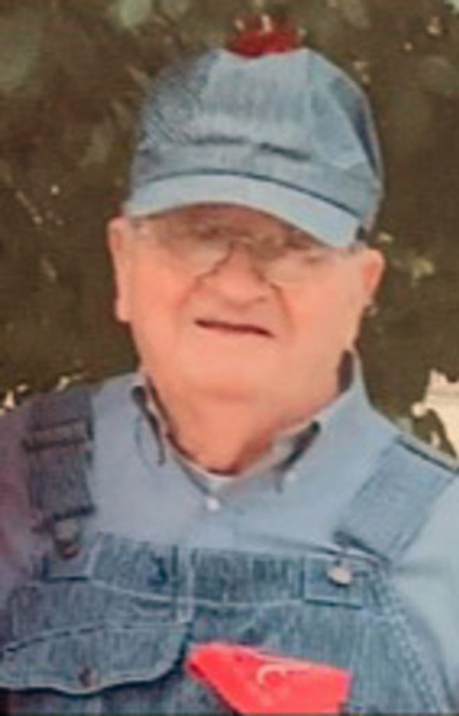 Leva Wilburn Hutchison Profile Photo