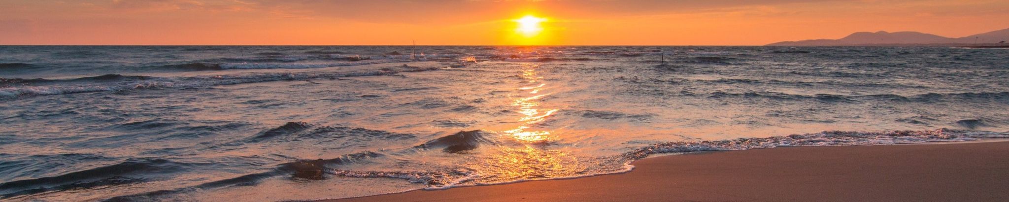 Cover photo for Allison J. Walsh-Sartini's Obituary