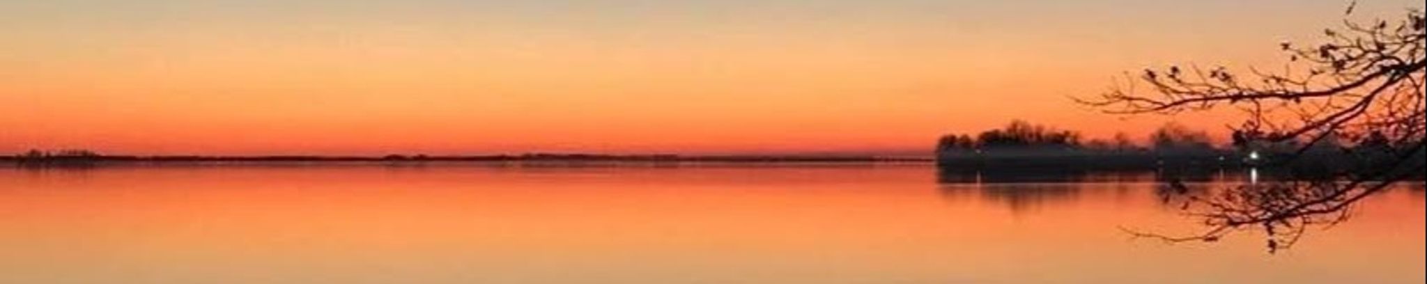 Cover for Angela R. Sneddon's Obituary