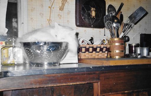 Linda L. Dilling photo gallery thumbnail 34 of 79
