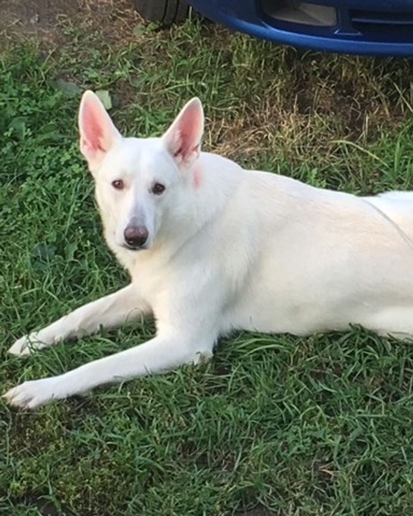 Olaf "Doggy" Garcia