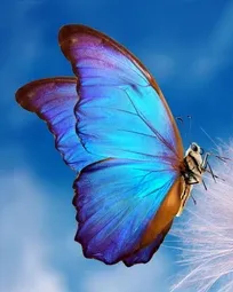 Gladys D. Dodson Profile Photo