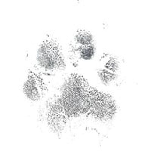 Luke Neyers's obituary image