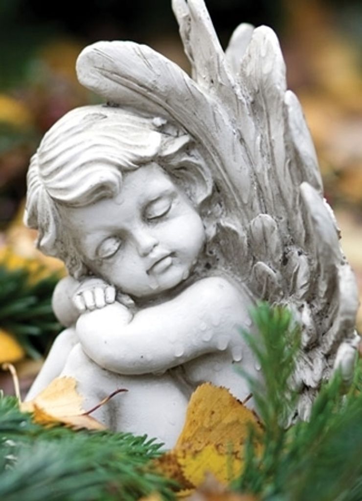 Daniel Reyes Hernandez Profile Photo