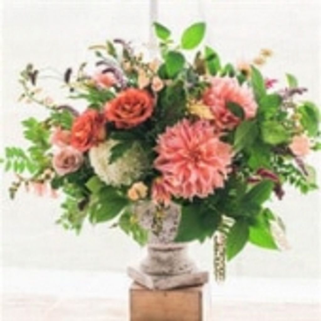 Deborah Ann Kaercher