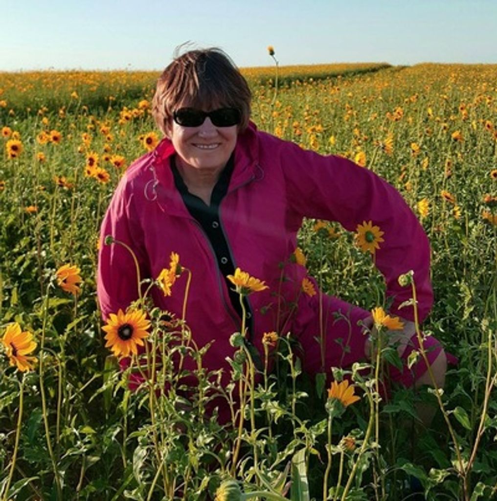 Saundra Anderson Profile Photo