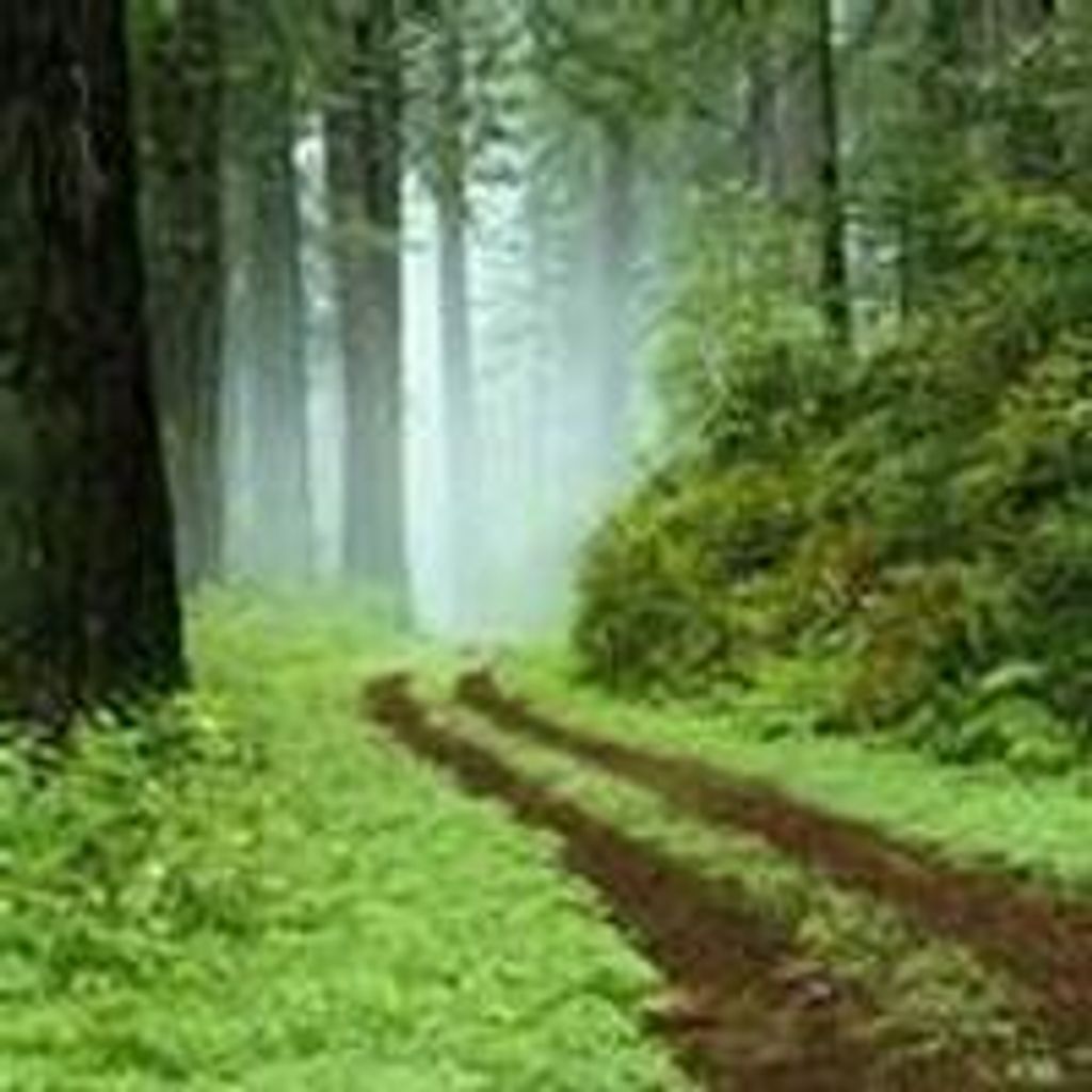 David  Allen Erk Profile Photo