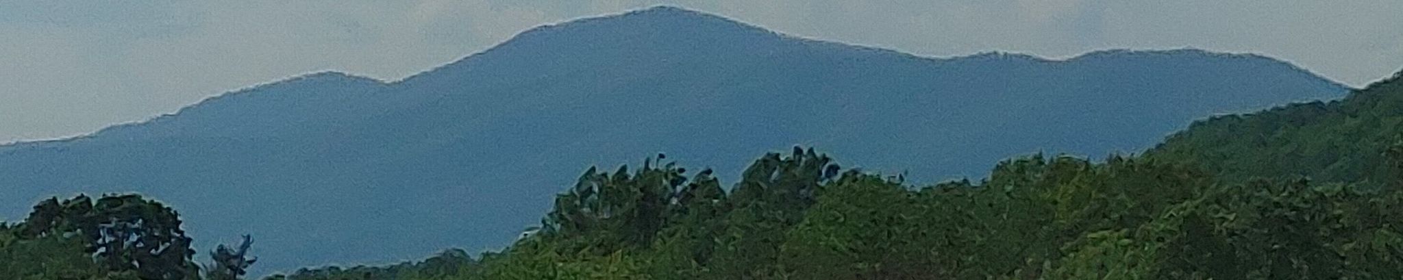 Cover for Betty Jean Bennick's Obituary