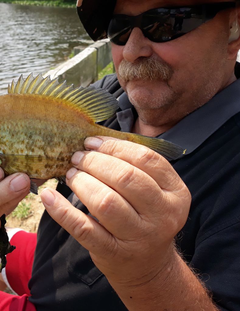 Paul C. Rigby Profile Photo
