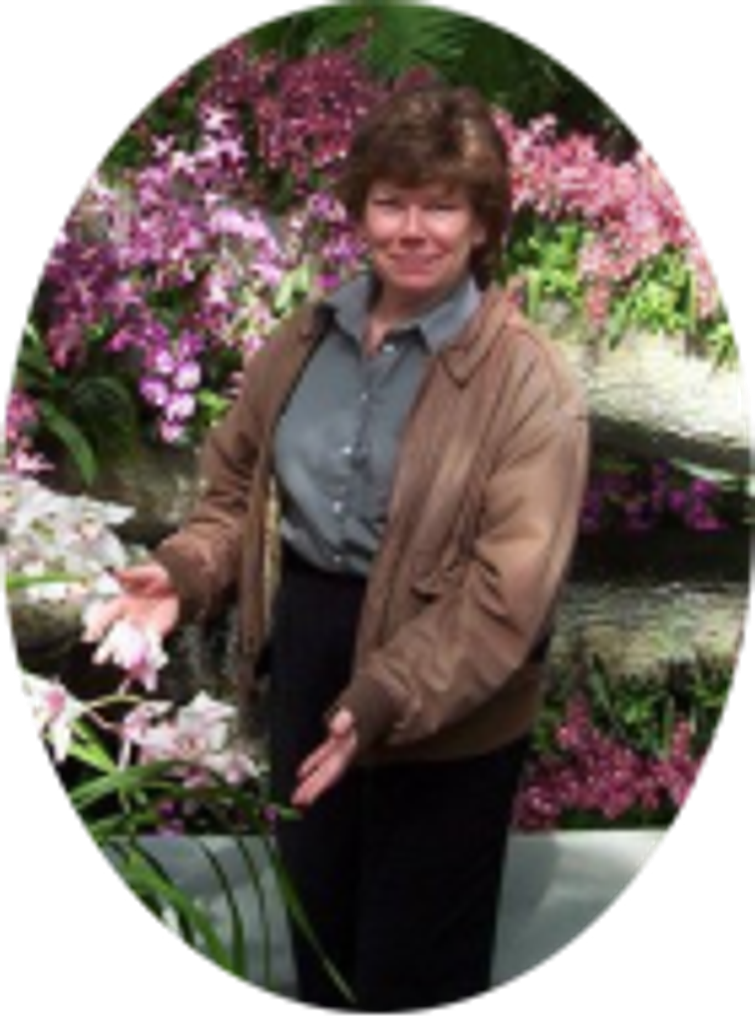 Jo Ann Wheate
