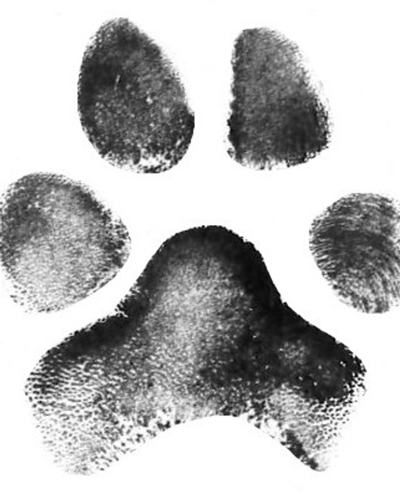 Gertie Parker Profile Photo