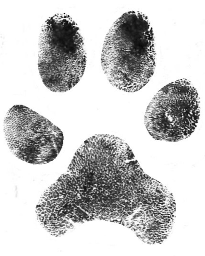 Molly Peterson Profile Photo