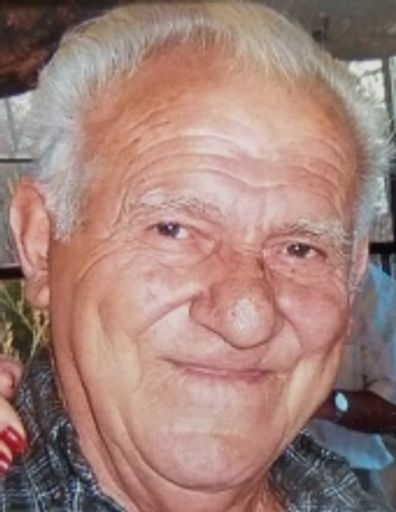Domenick Meduri Profile Photo