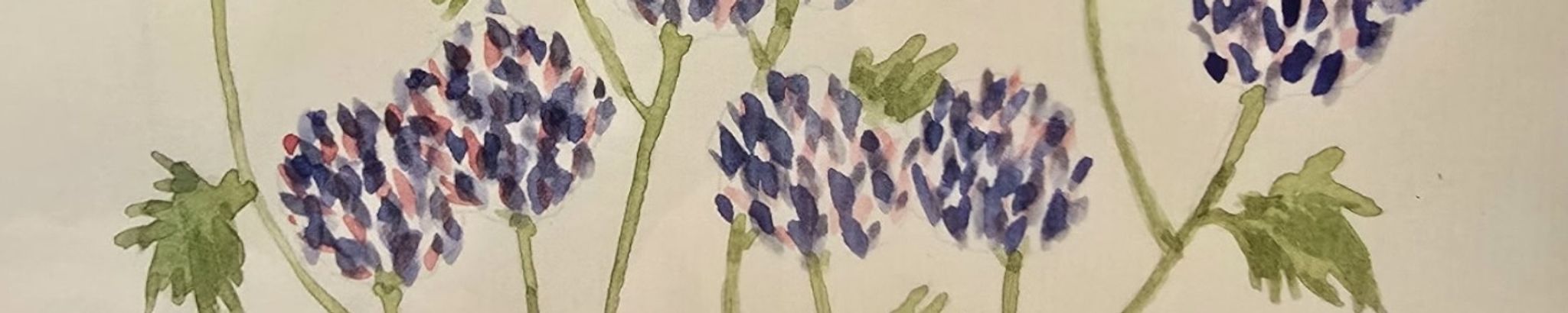 Cover for Peggy Jane Petersen Nish's Obituary