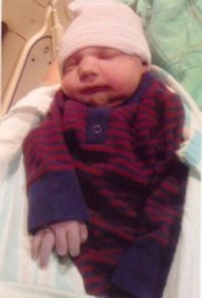 Brayden William Porter