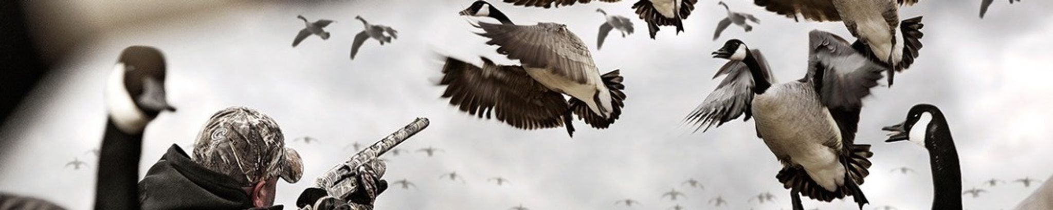 Cover for Donald G. Edwards's Obituary