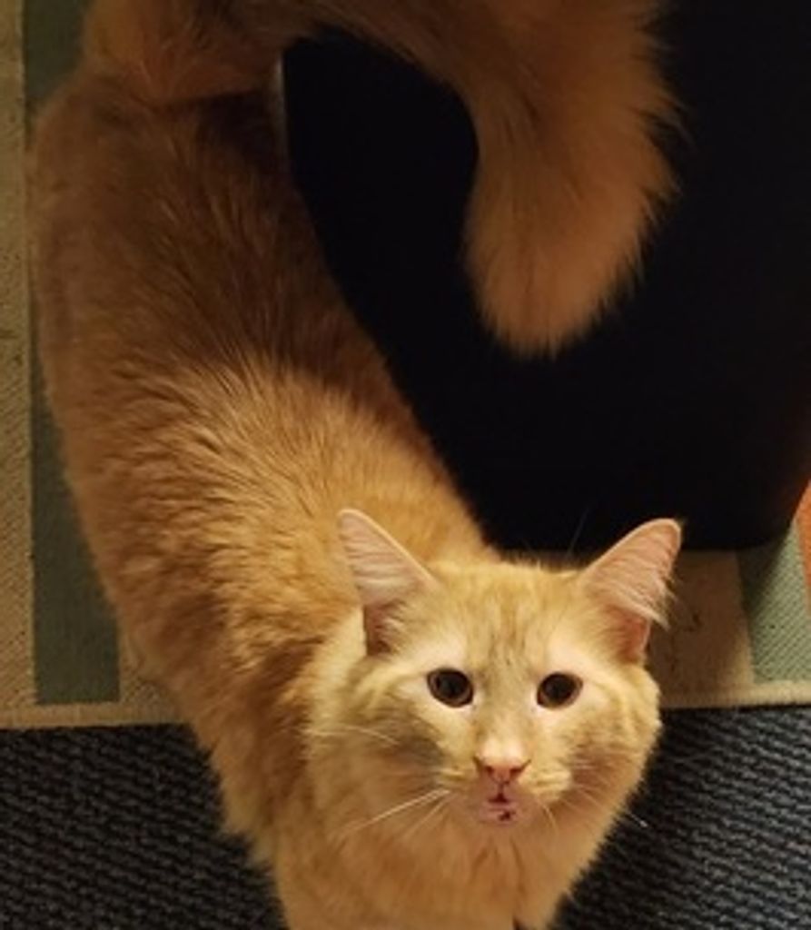 Fred Painter Profile Photo