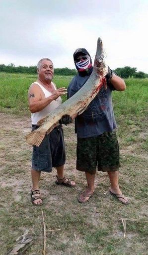 Juan Hernandez photo gallery thumbnail 52 of 129