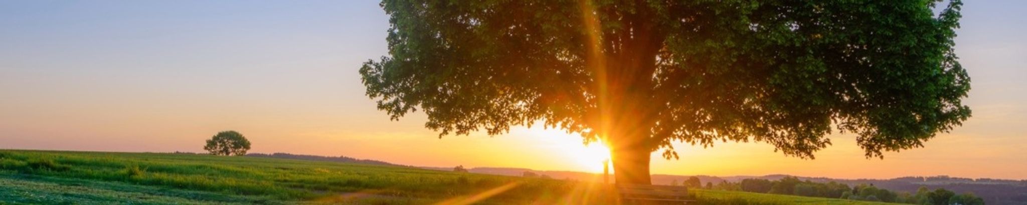 Cover photo for David Allen McDaniel's Obituary