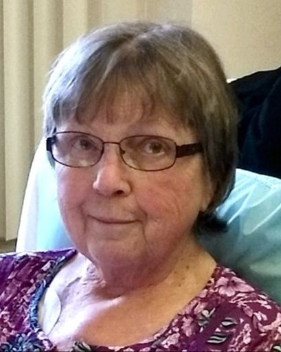 Susan M. Scanlan Profile Photo
