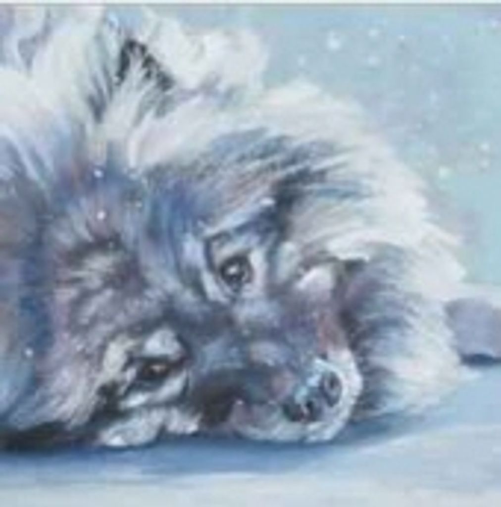 Mia Wikman Profile Photo