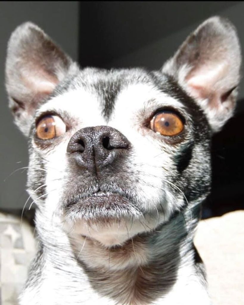 Biggs Profile Photo