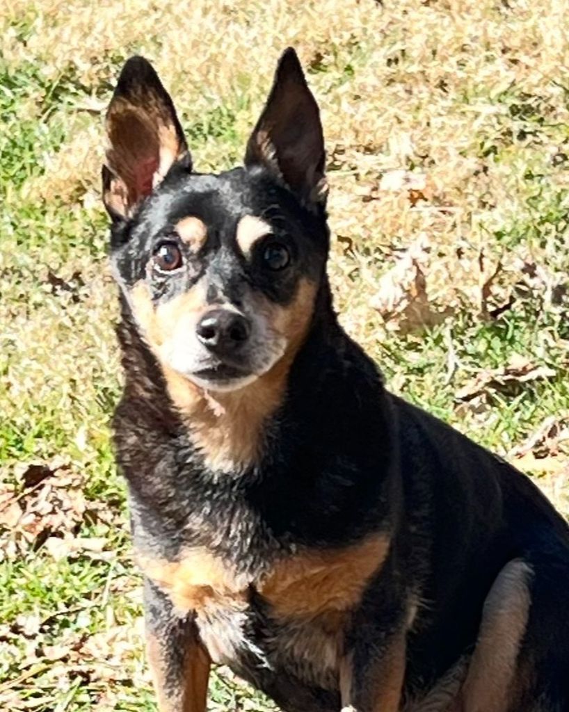 Buck Thomas Profile Photo