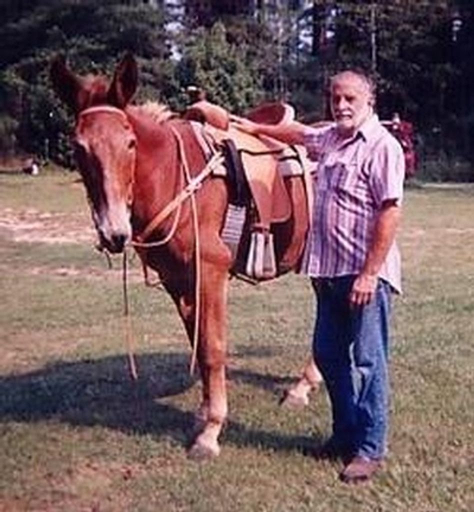 Gerald H. Stringer