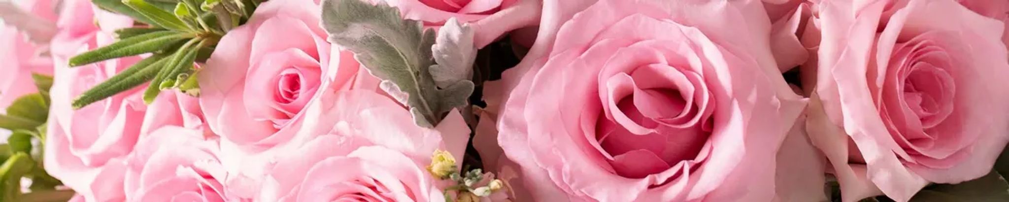 Cover photo for Rosina Montoya's Obituary