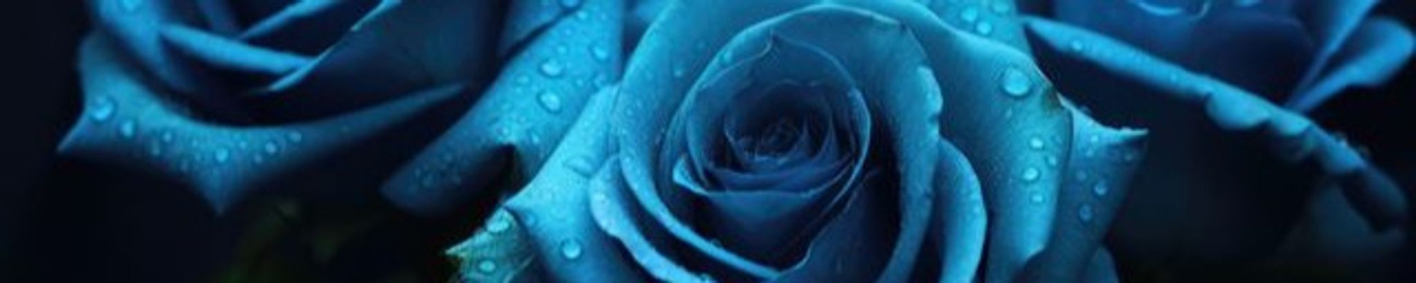 Cover photo for Geraldine Gardner's Obituary