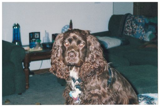 Gary L. Hall photo gallery thumbnail 250 of 354