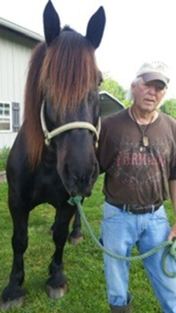 Don Wilke Profile Photo