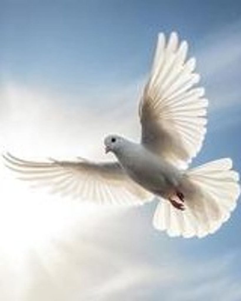 Manuel Herrera Rodriguez Profile Photo