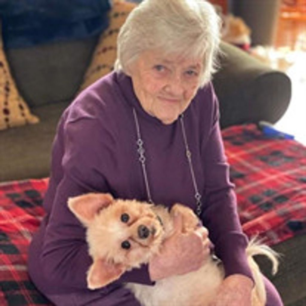 Helen L. Ambler