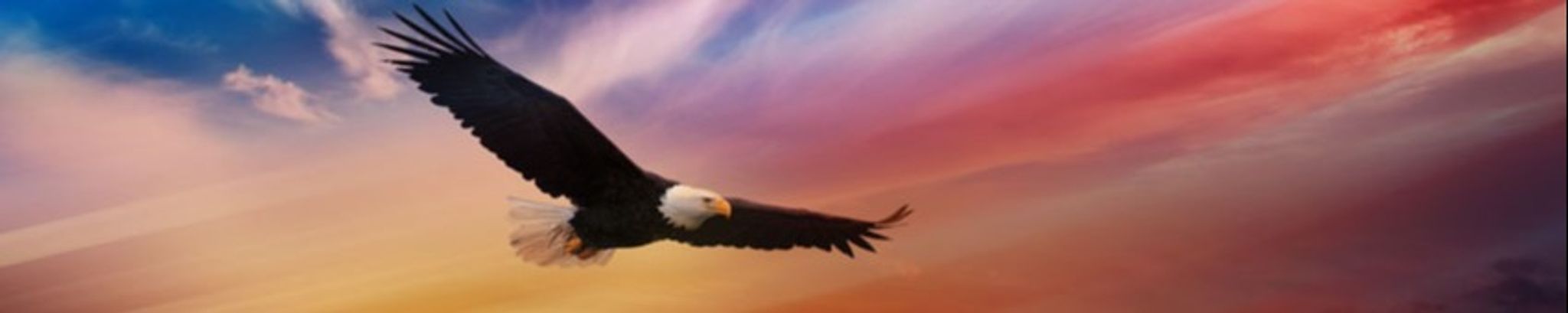 Cover photo for John Preston Rose Jr.'s Obituary