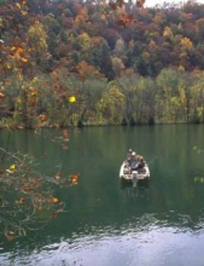 Nicholas Charles Jackson