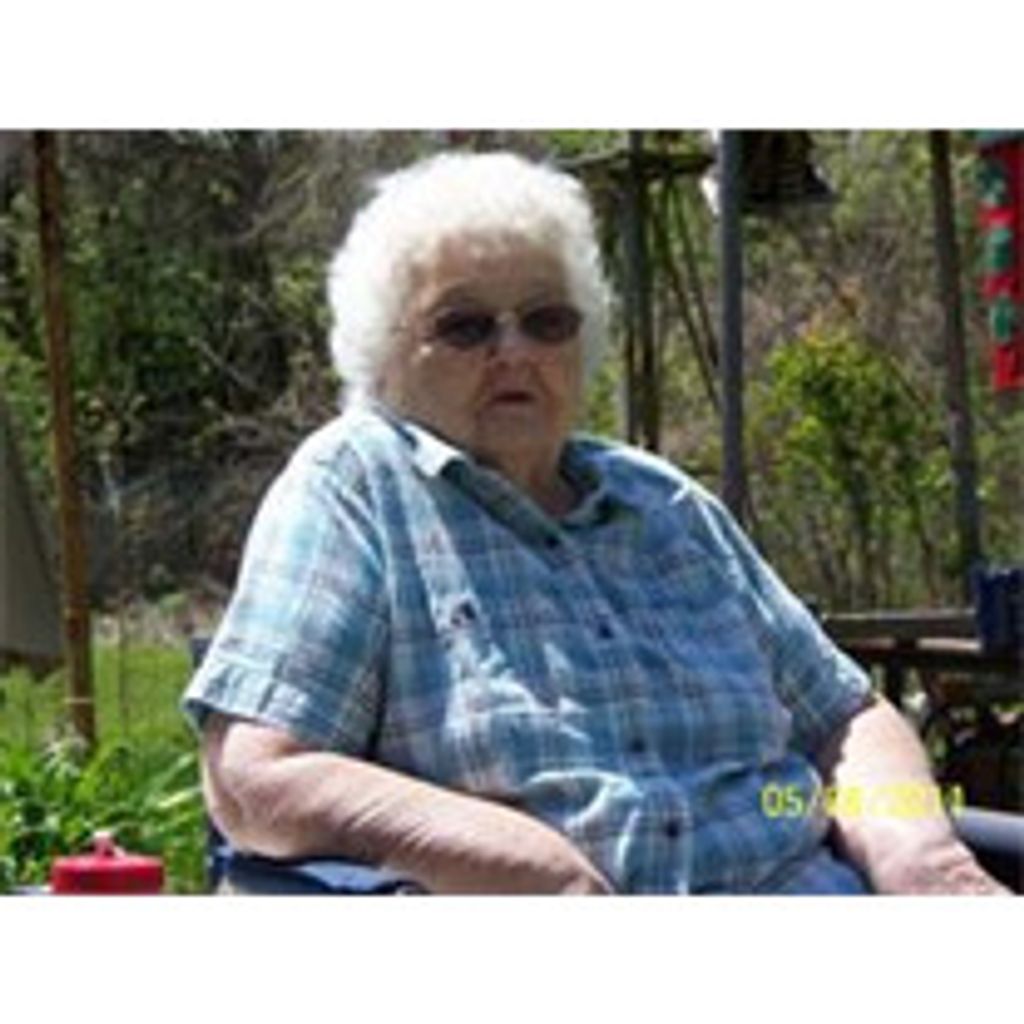 Sarah Bradshaw Profile Photo
