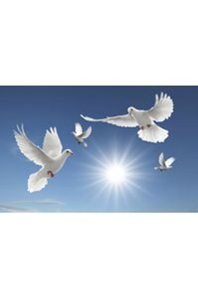 Twin Angels Heaven & Onyx Johnson Profile Photo