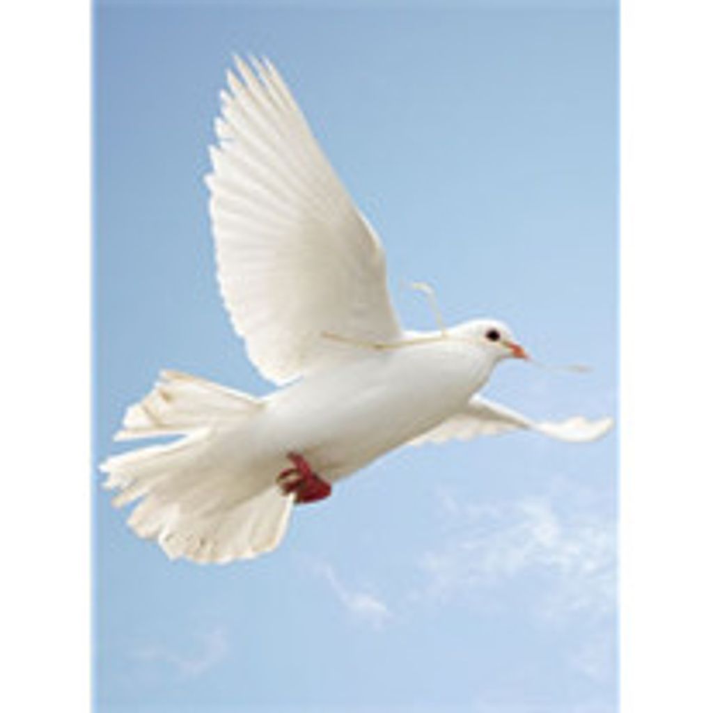 Lavivian Mills Profile Photo