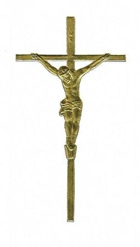 Mary Anne Blankenship Profile Photo