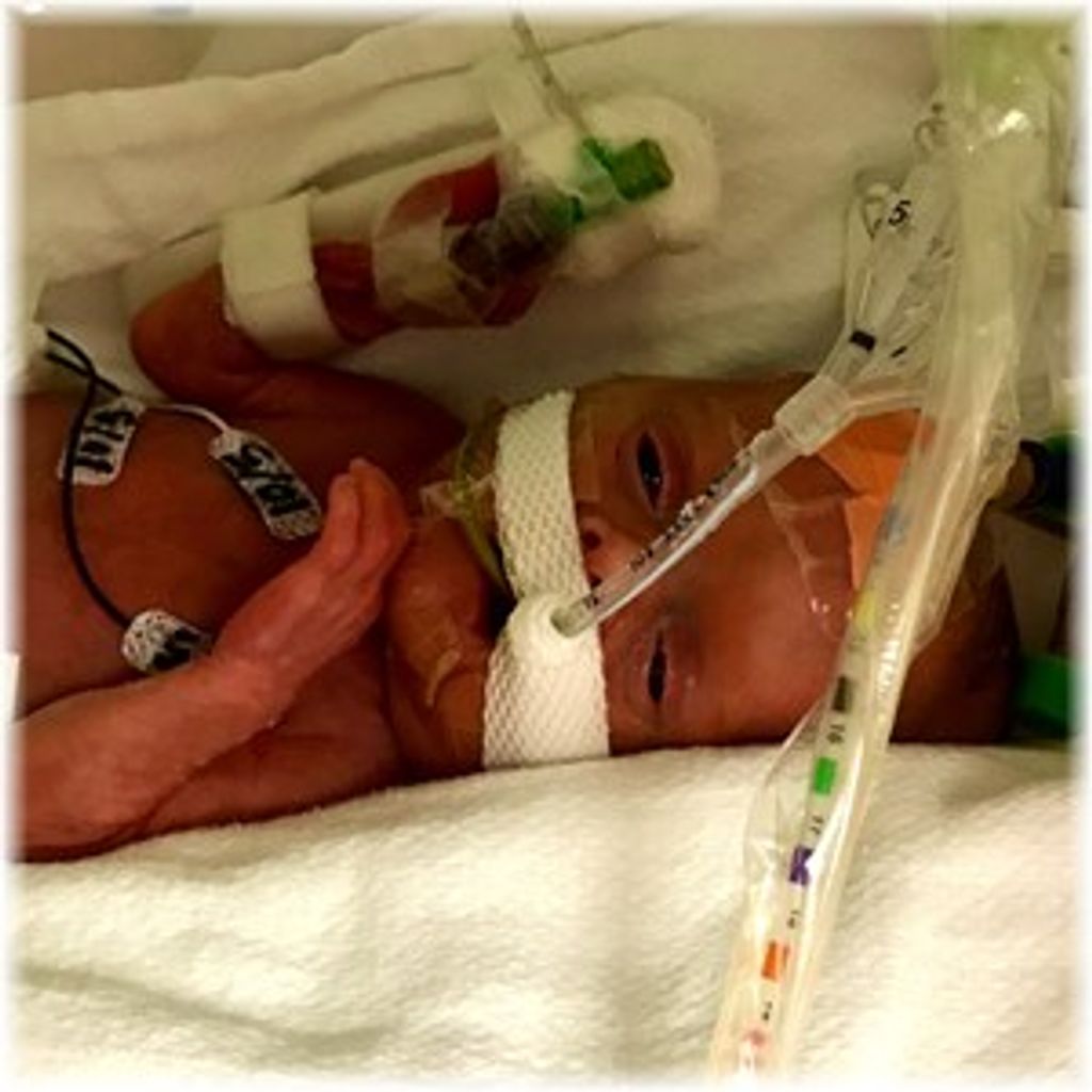 Isabella Faith Fingar