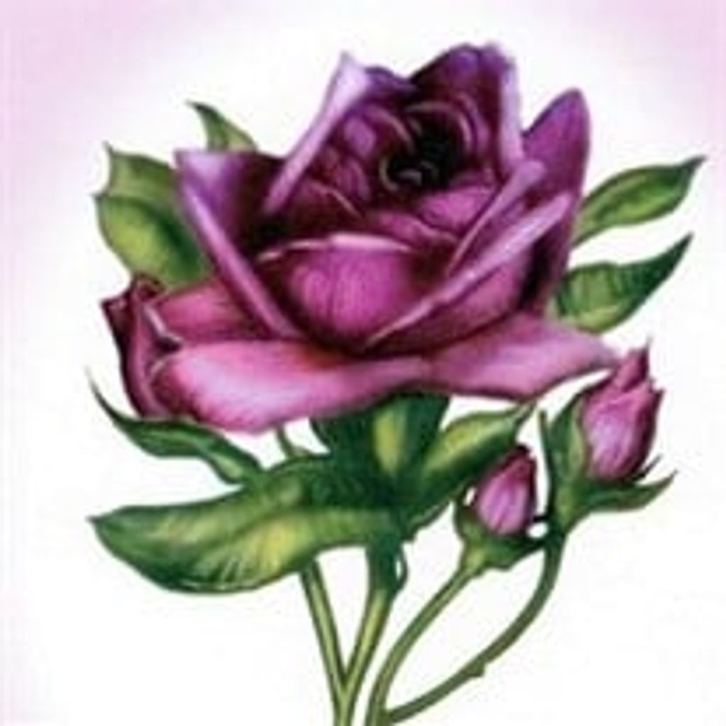 Judy Quesenberry Epperly