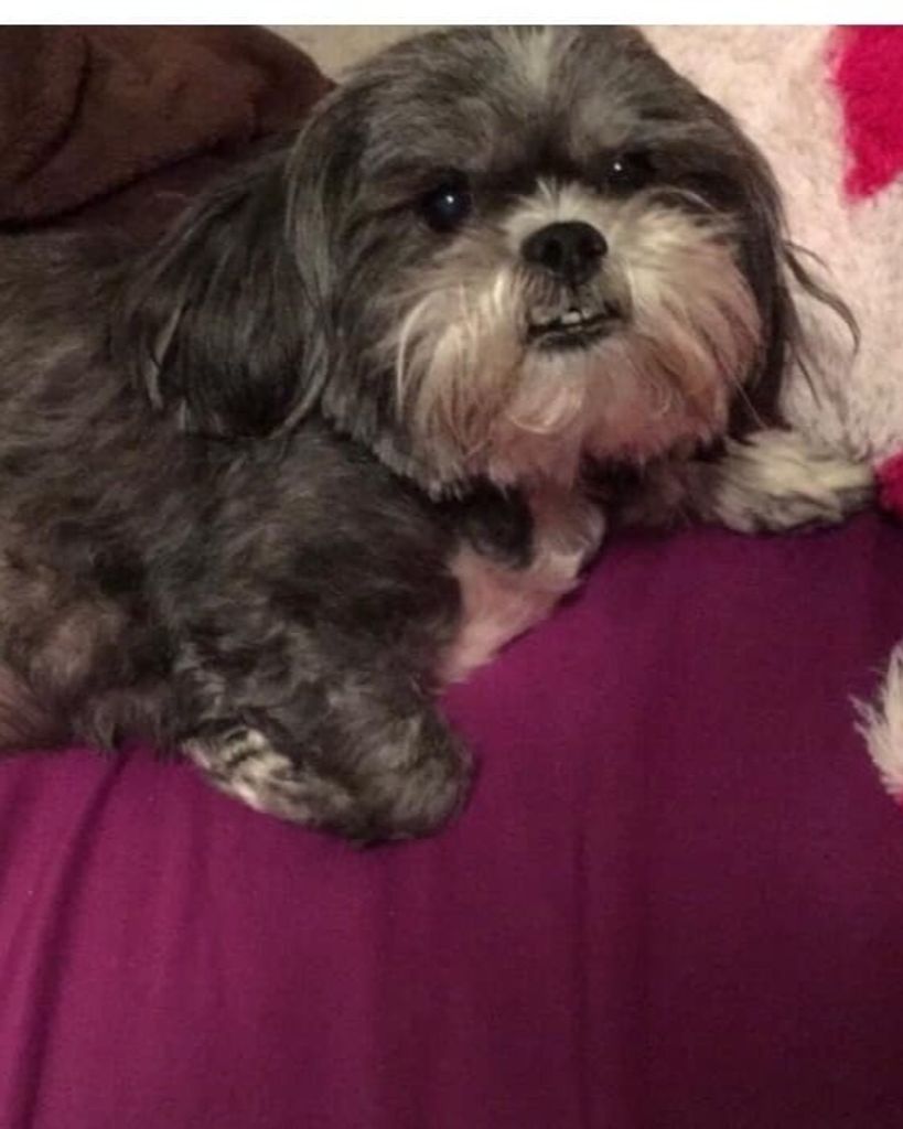 Lola Chichi Rivera Profile Photo
