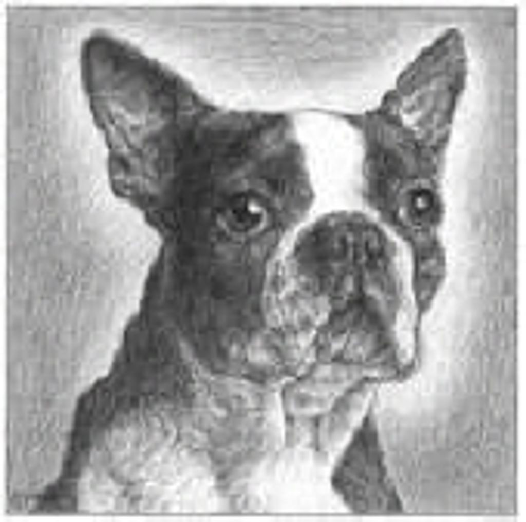 Bing Ferris Profile Photo