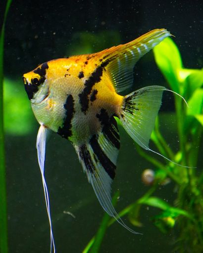 Scott Edward Hanson's obituary image