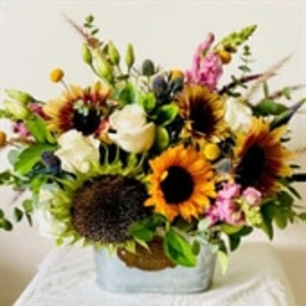 Suzanne Hopkins Mansfield