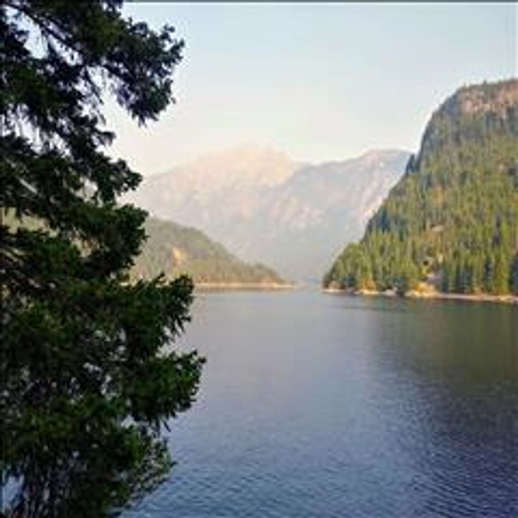 Roy Glendal Williams Profile Photo