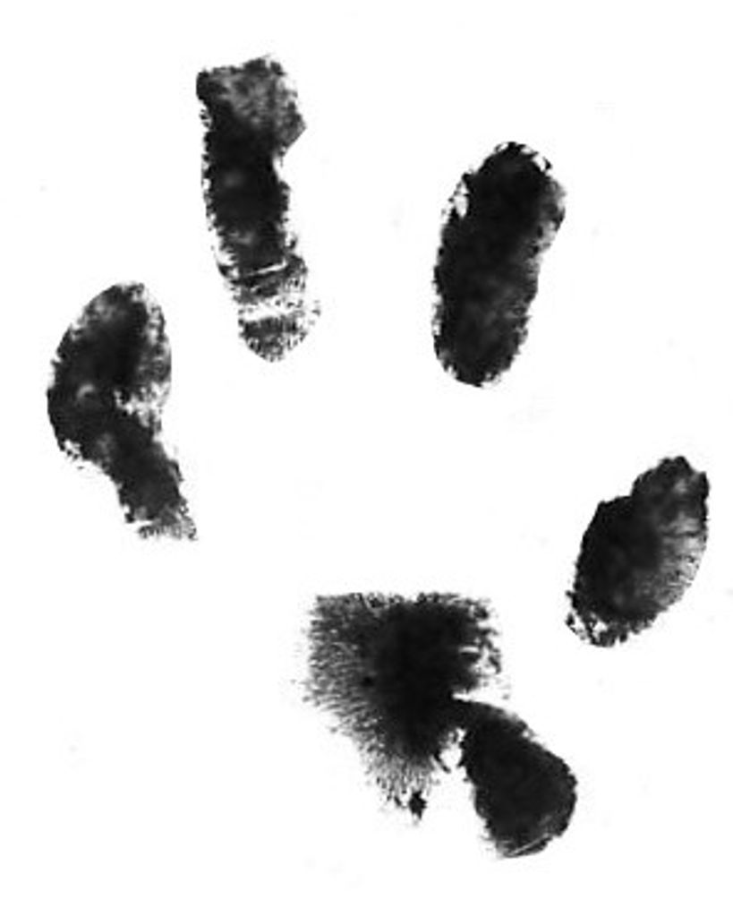 Darnell McCaskill Profile Photo